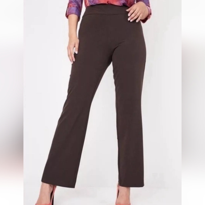 Nwt Roz & Ali Secret Agent Tummy Control Brown Stretch Dress Pants Sz 20w